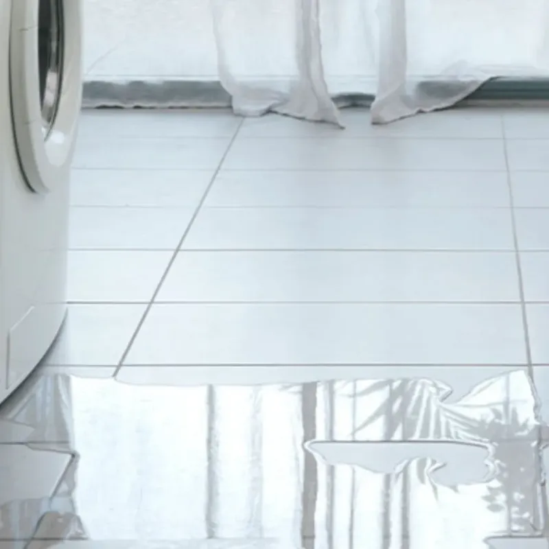 Appliance Leak Cleanup in Polk County, OR