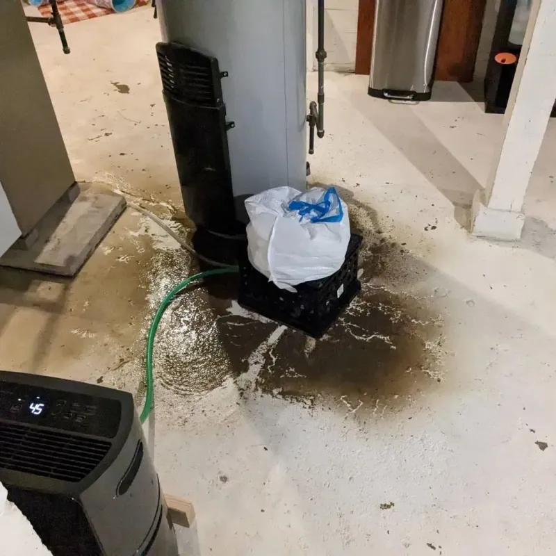 Sewage Backup Cleanup Service in Polk County, OR